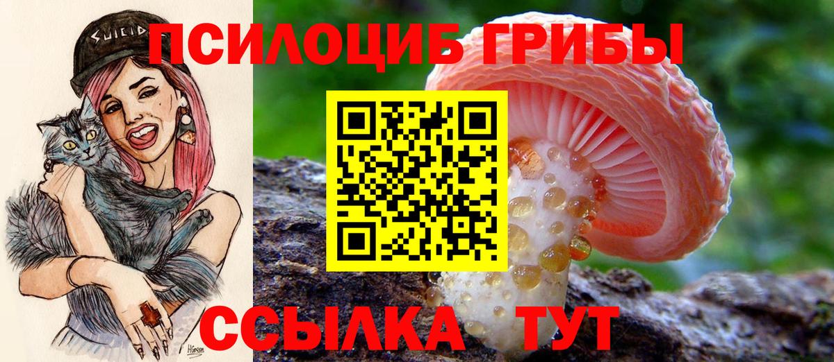 Галлюциногенные грибы мицелий Елизово