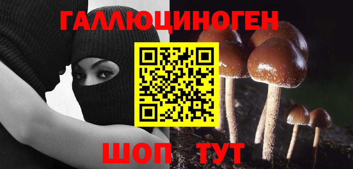 Псилоцибиновые грибы Cubensis  Вход с VPN  Елизово 